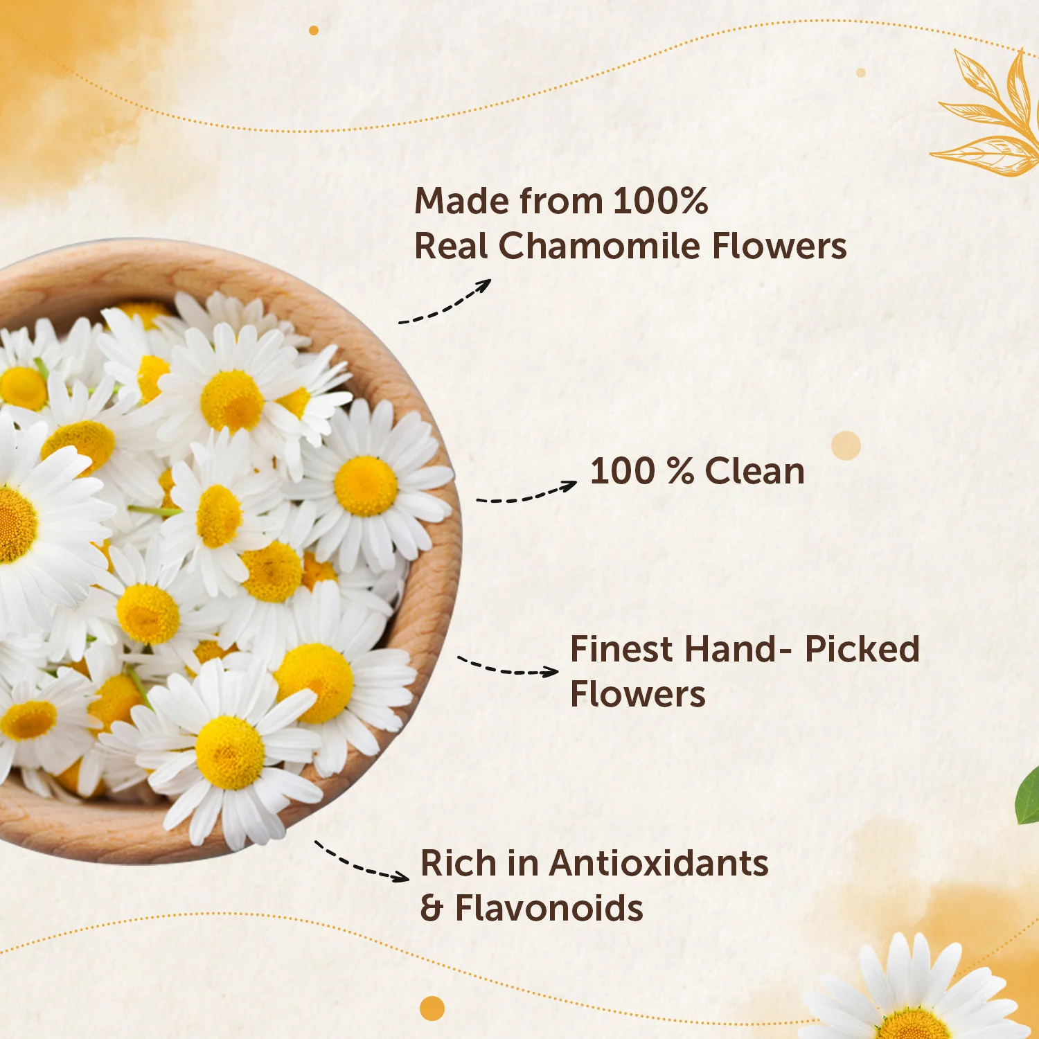 Chamomile Flower Tea For Blissful Sleep and Calm Mind- 30 gm - Image 3