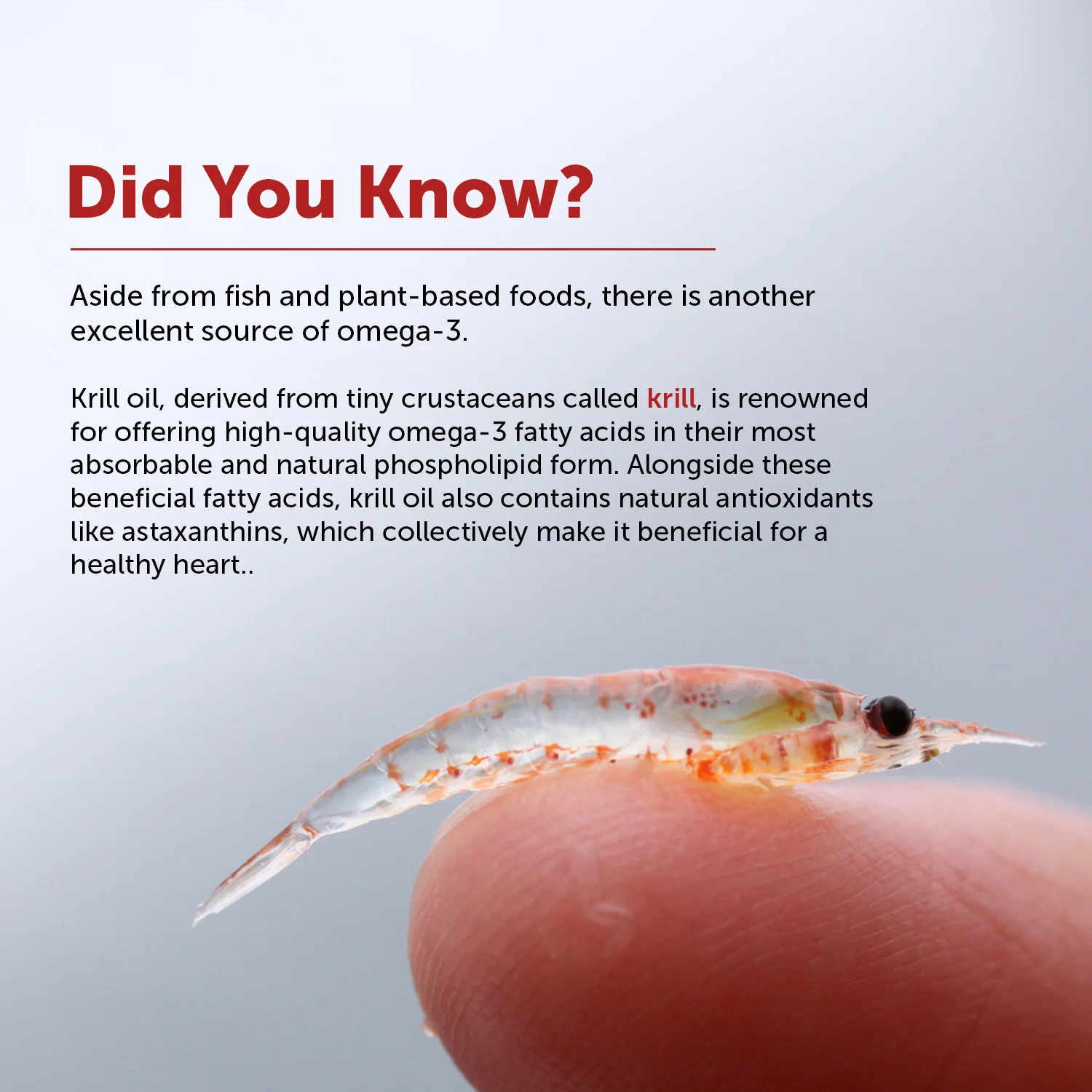 Deep-Sea Heart Omega With Rimfrost™ Krill Oil Capsules - Image 2