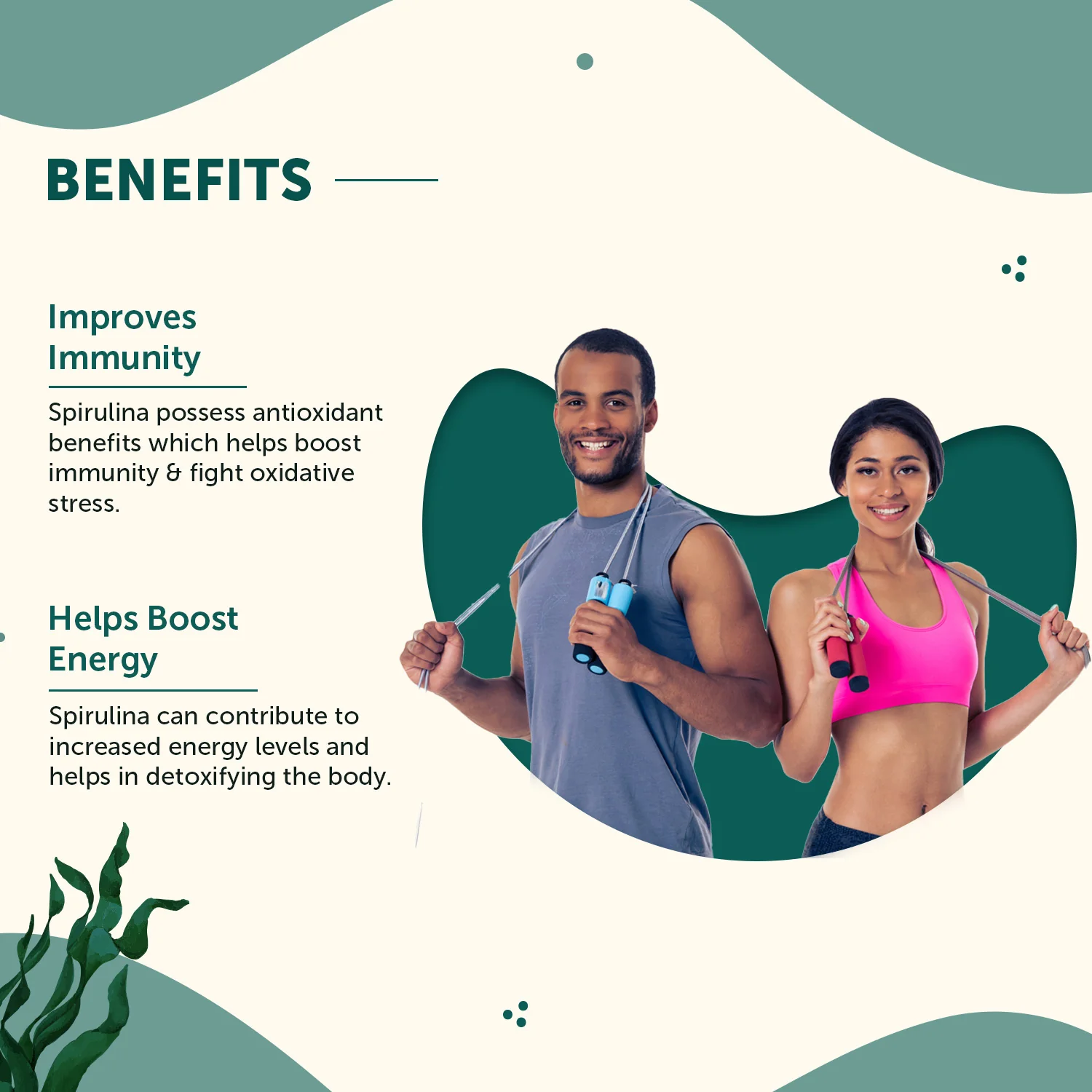 Natural Spirulina Powder to boost Energy & Immunity - Image 2