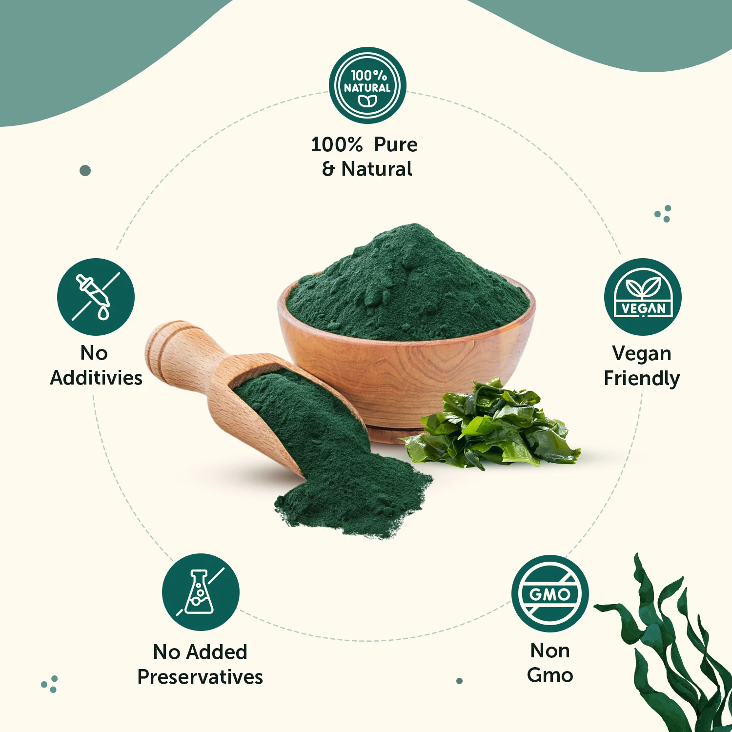 Natural Spirulina Powder to boost Energy & Immunity - Image 3