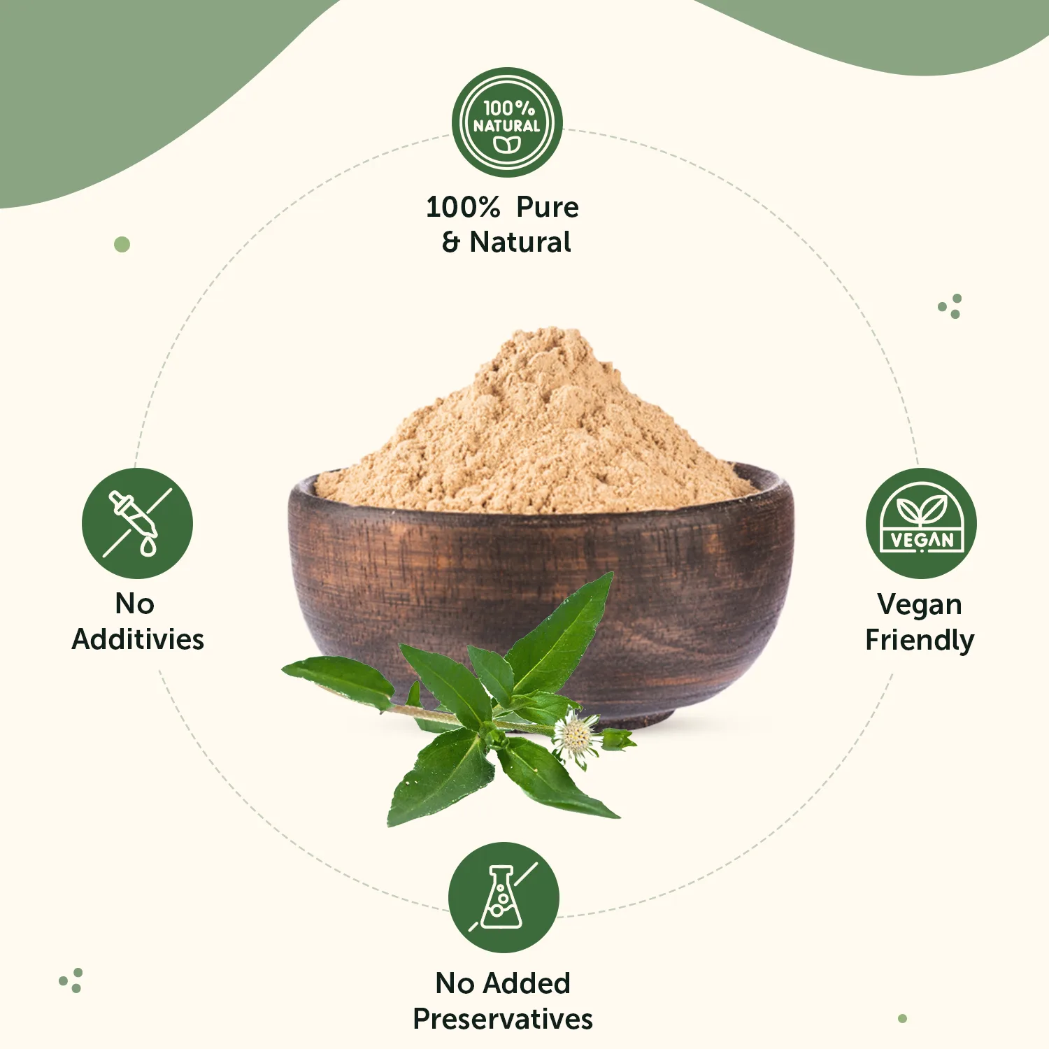 Bhringraj Powder for Skin & Hair Growth - Image 3