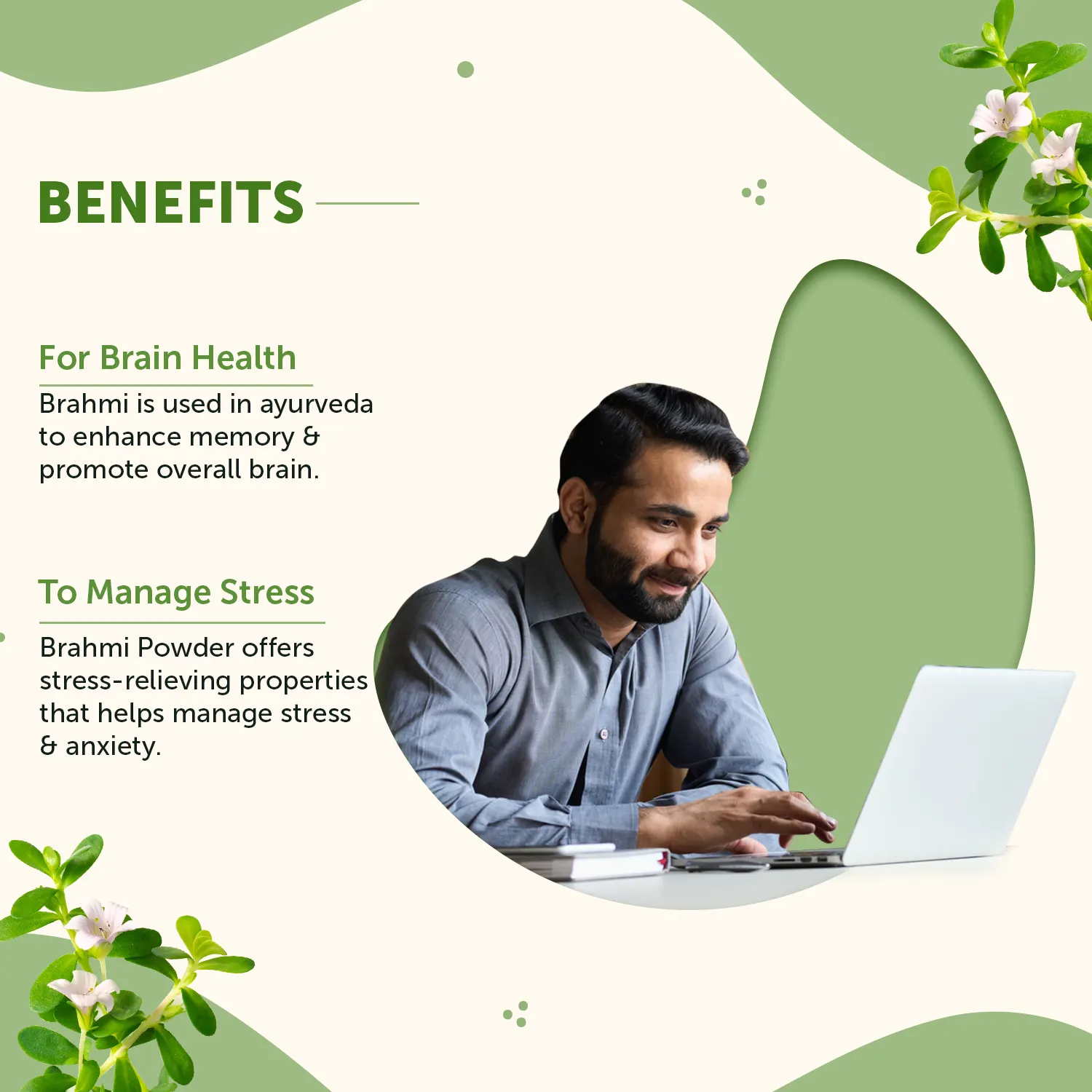 Brahmi Powder for Stress Relief & Calm Mind - Image 2