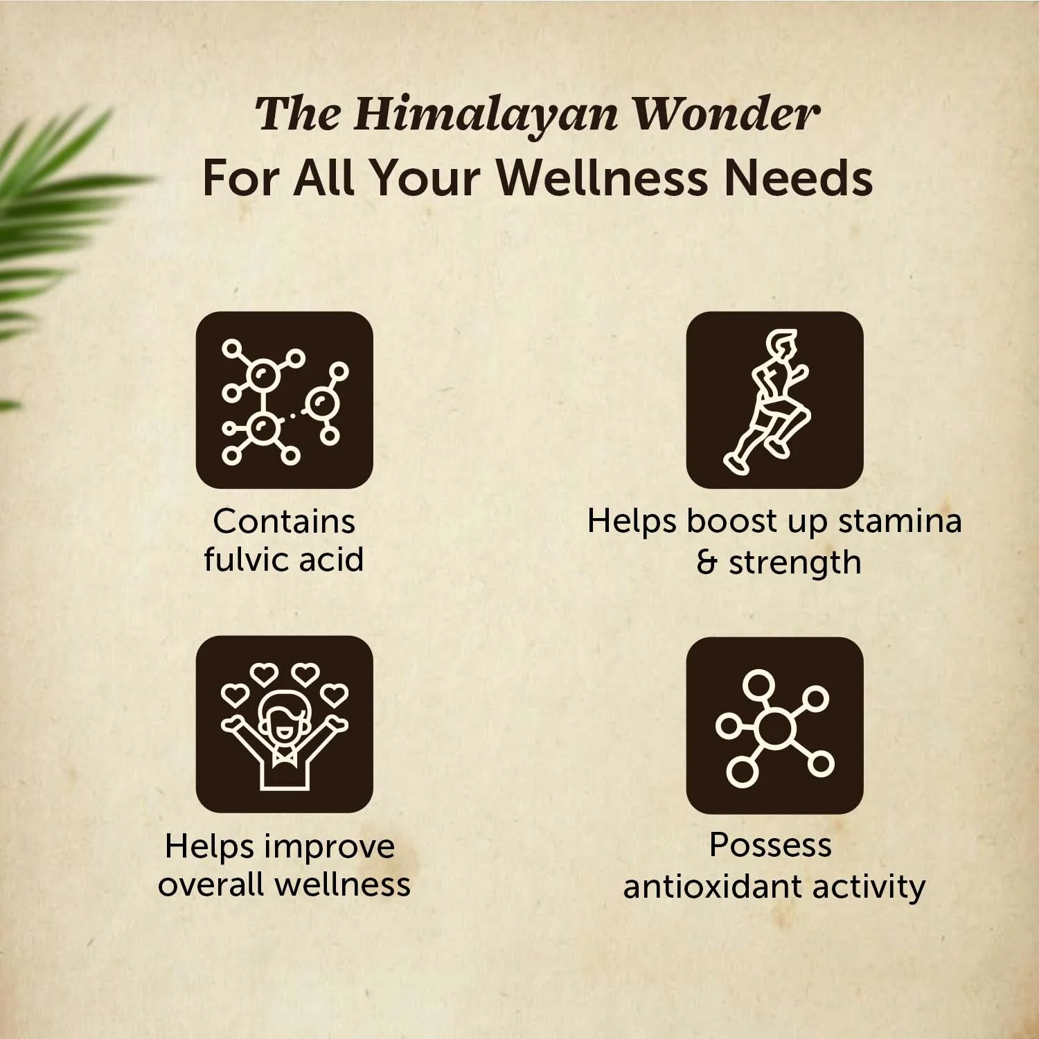 Pure Himalayan Shilajit Resin 15g - Stamina Booster - Image 3