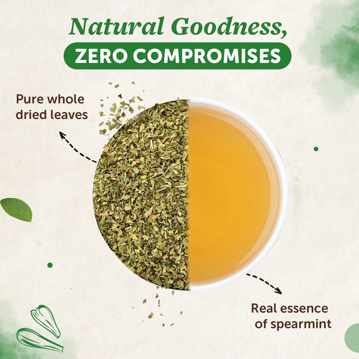 Spearmint Tea Leaves for Refreshment & Stress - 100gm - Image 2