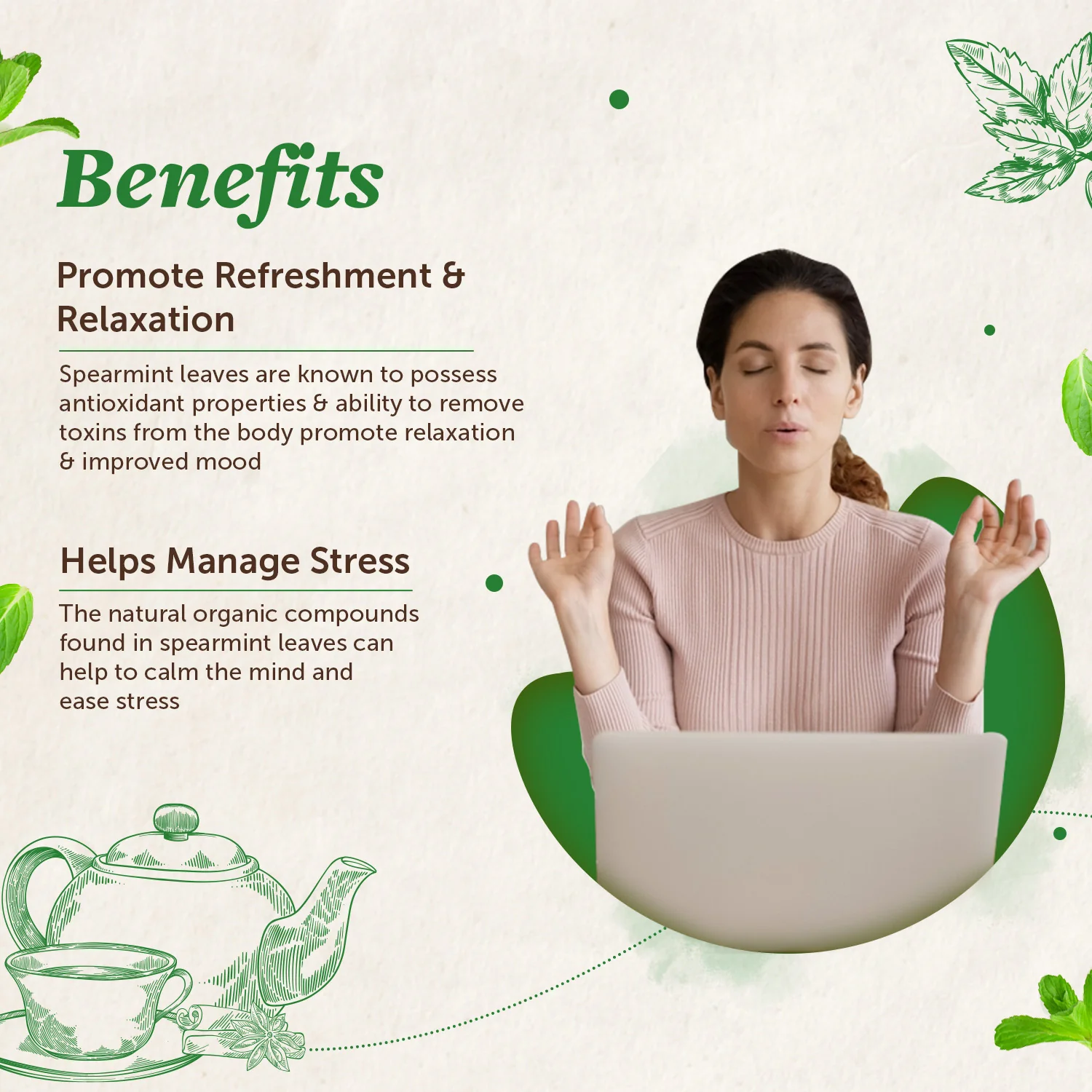 Spearmint Tea Leaves for Refreshment & Stress - 100gm - Image 3