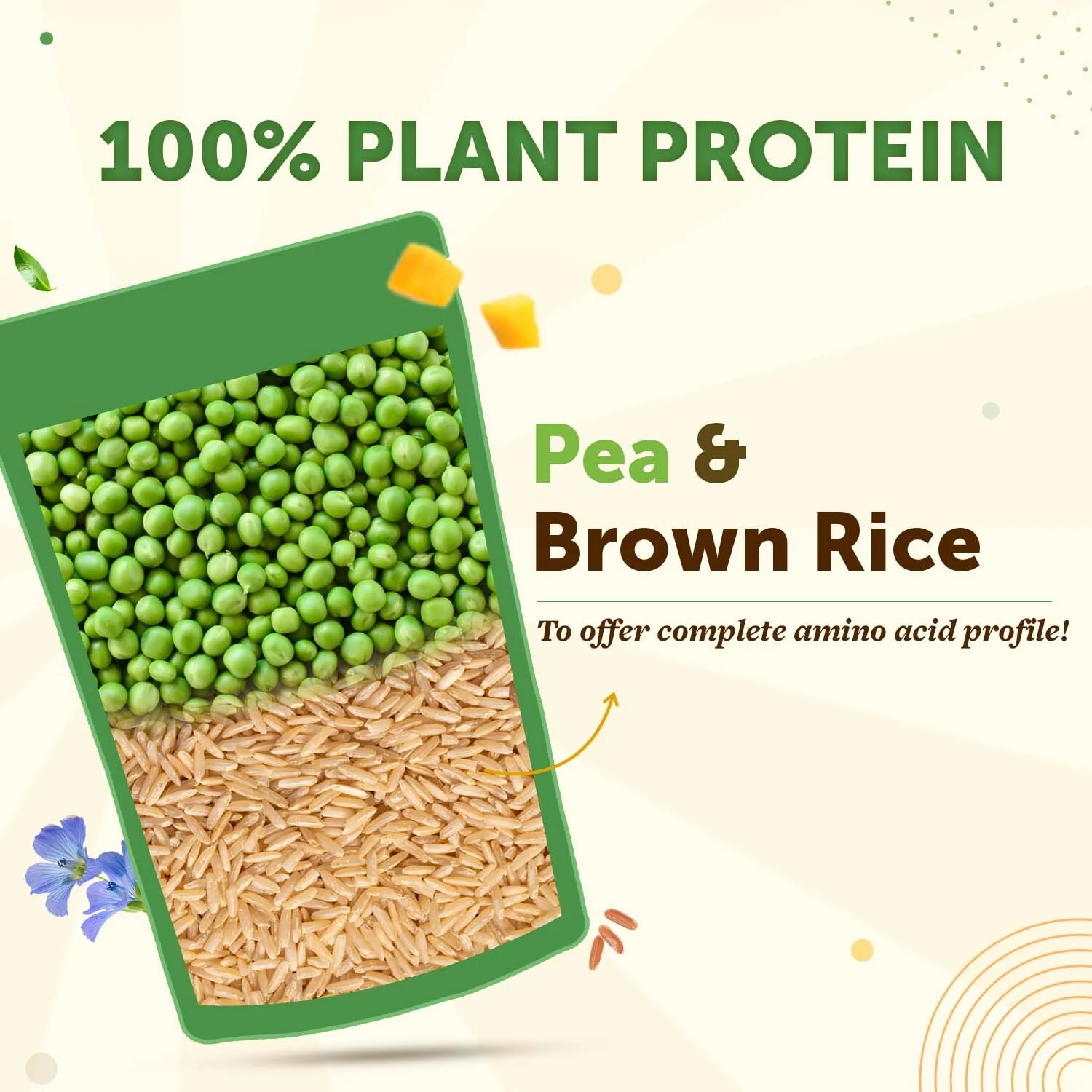 True Plant Protein Powder with Omega-3 – 24g Protein Per Serving - Image 11