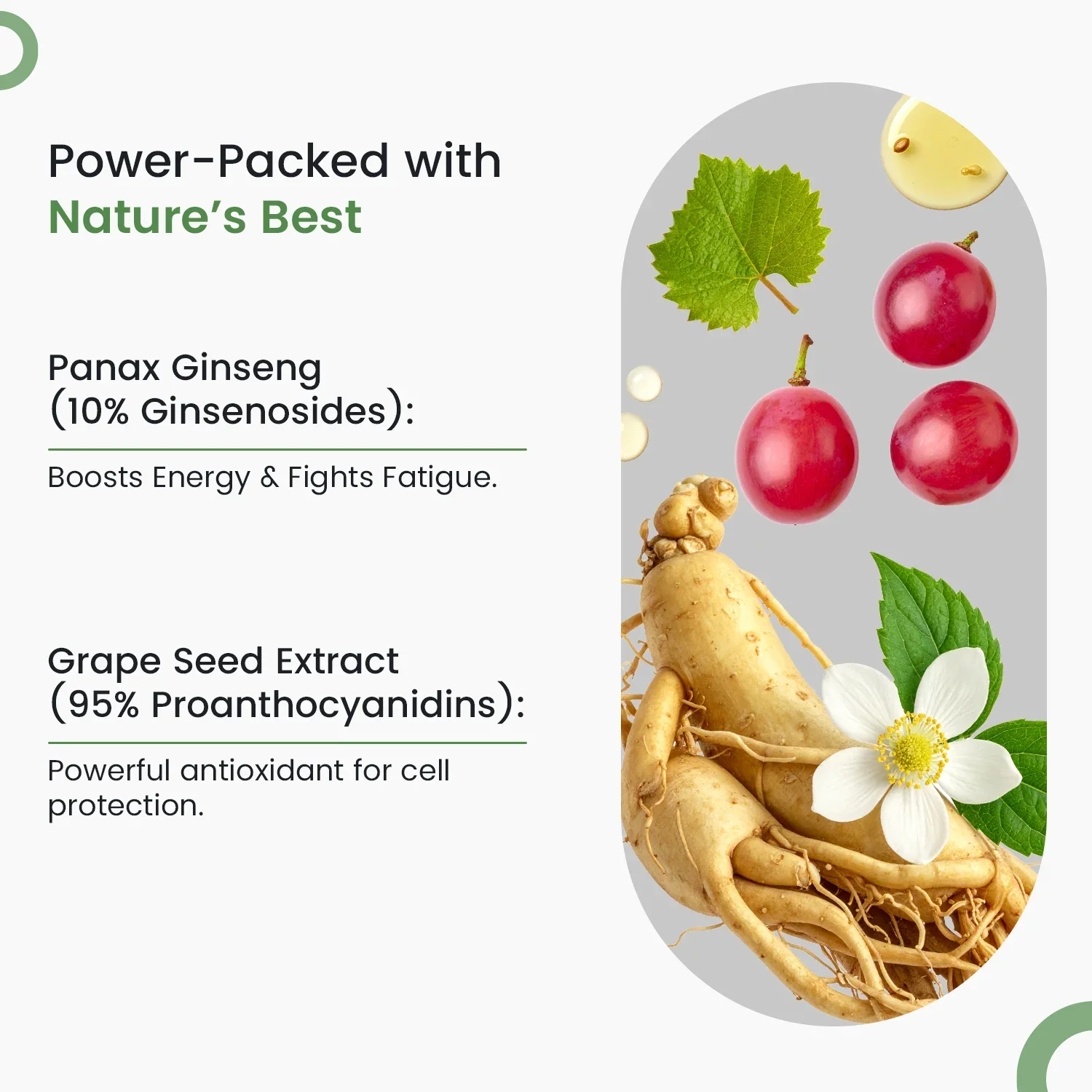 True Vitamin Daily - Multivitamins For Overall Health and Strength - Image 6